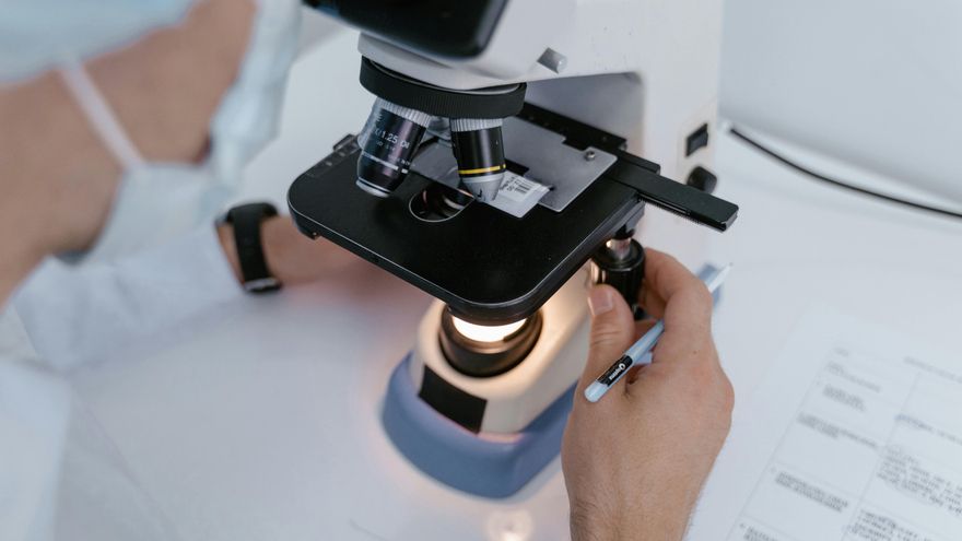 Nuevo descubrimiento en la medicina regenerativa: algunas células cartilaginosas se pueden convertir en óseas