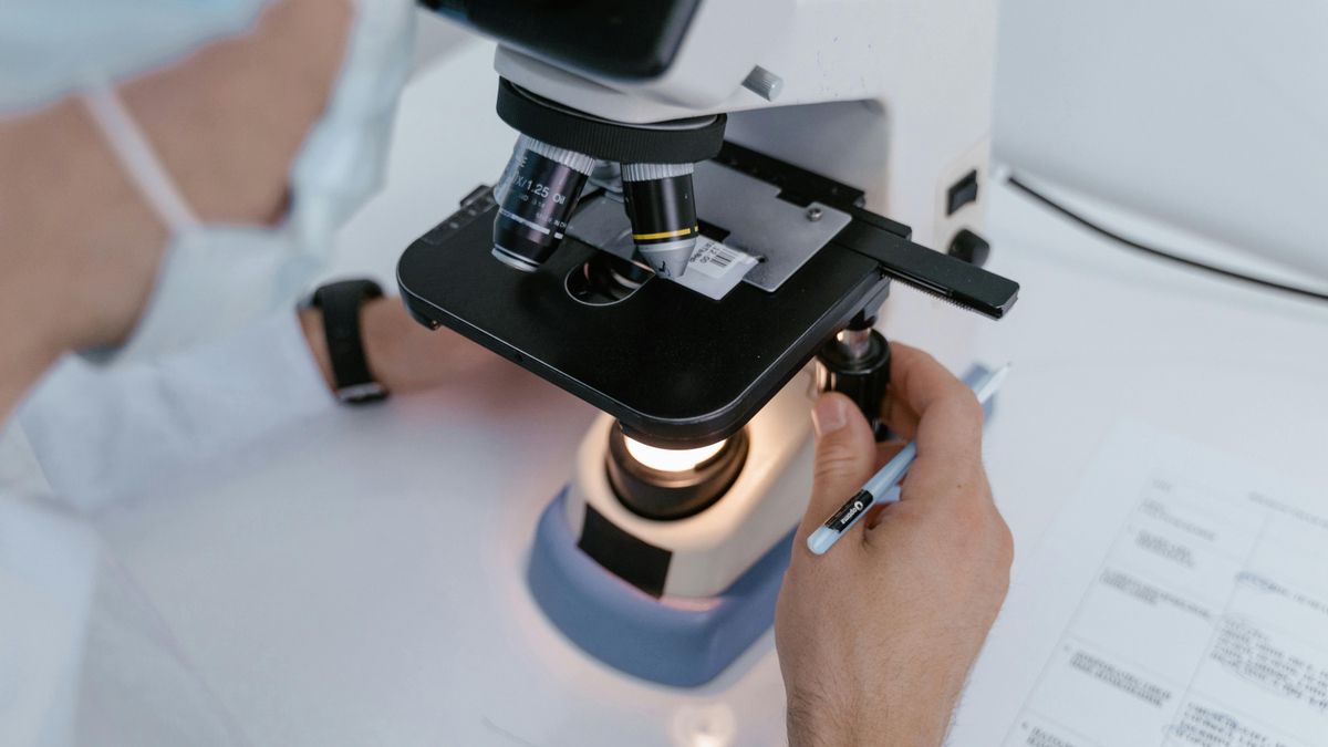 Nuevo descubrimiento en la medicina regenerativa: algunas células cartilaginosas se pueden convertir en óseas