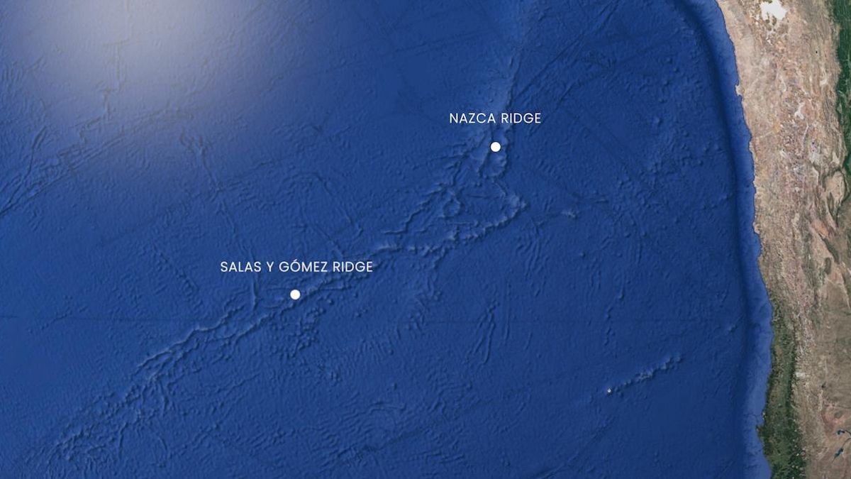 Mapa de las dorsales de Salas y Gómez y Nazca, frente al mar chileno. Foto: cortesía Schmidt Ocean Institute