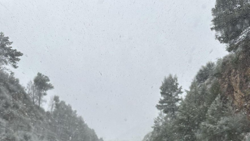 La ola polar llegó con fuerza y cayó nieve en diferentes zonas de la Provincia de Buenos Aires