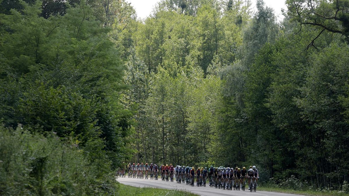 La alta montaña pone a prueba a Pogacar y sus rivales en el Tour de Francia: previa, horario y dónde ver por TV la etapa 14 y 15