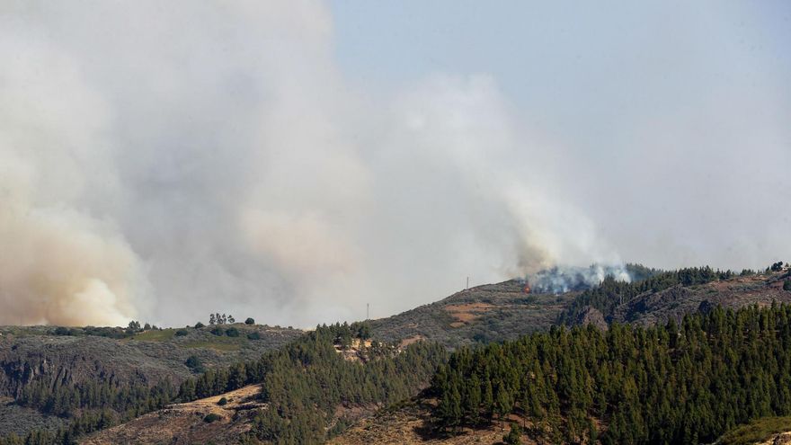 El fuego declarado este martes en el municipio de Tejeda, en Gran Canaria, afecta a 200 hectáreas y presenta dos frentes