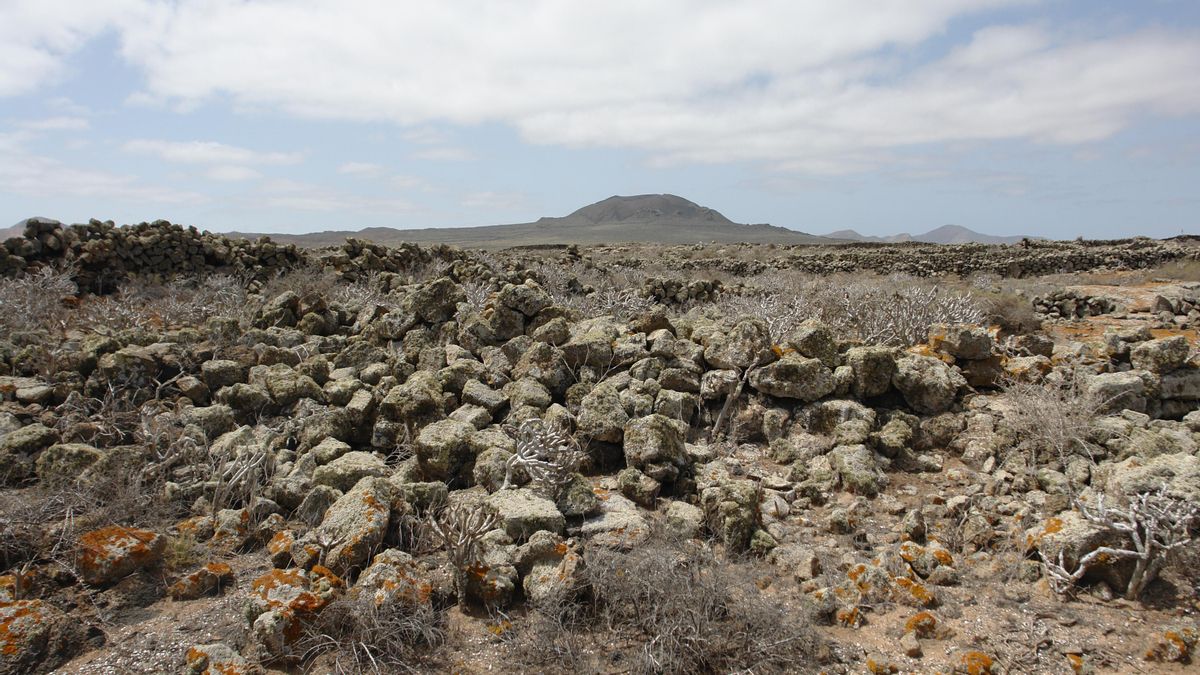 Restos de las estructuras que se crearon, según el autor, para cosechar orchilla. Son los supuestos soles de Tejate.
