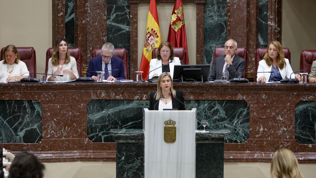 Carmina Fernández (PSOE) durante su turno de palabra en el debate sobre el Estado de la Región de Murcia, en la Asamblea Regional.