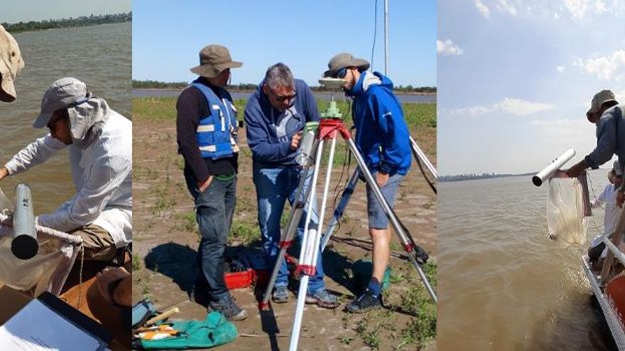 La contaminación que no se ve: peces y aves del río Paraná con microplásticos en sus vísceras