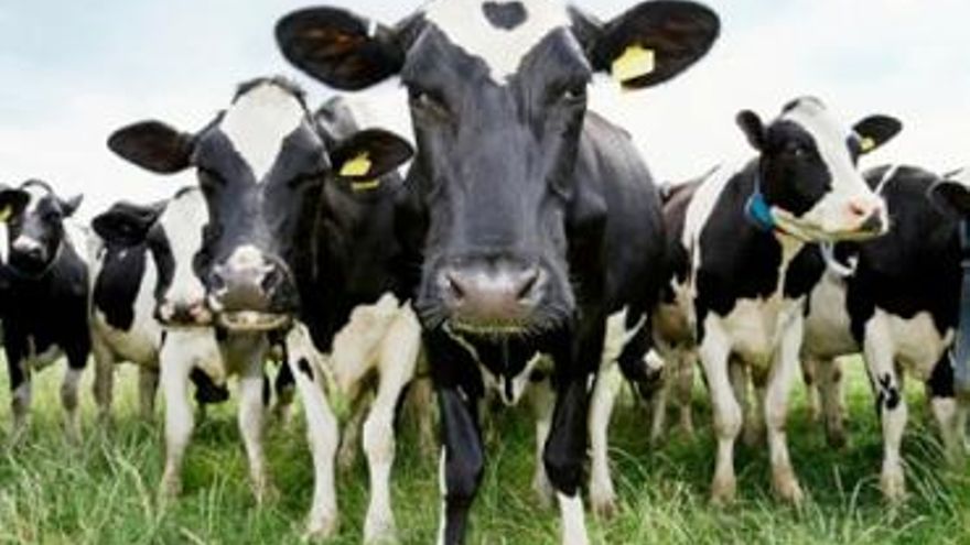 Metano, ese enemigo maldito