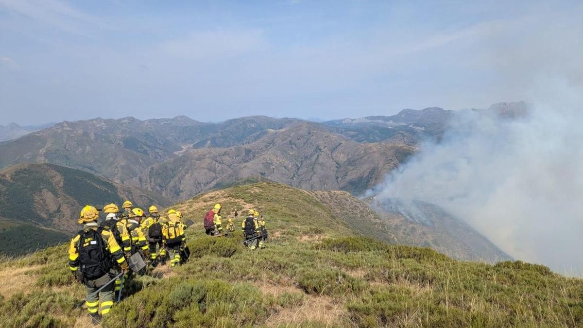 La Junta acelera la restauración de los ecosistemas afectados por el incendio de Barniedo de la Reina con 700.000 euros