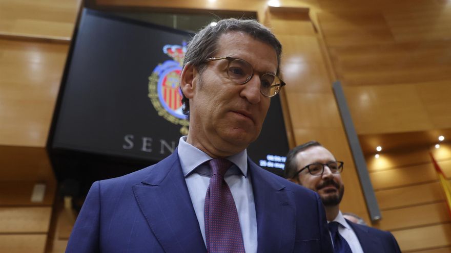 El líder del PP, Alberto Núñez Feijóo.