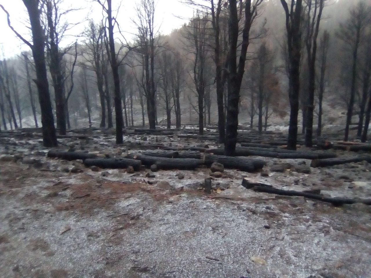 Nieve en la cumbre de Gran Canaria
