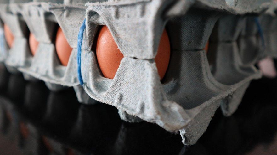 Tres ideas prácticas para aprovechar las hueveras de cartón