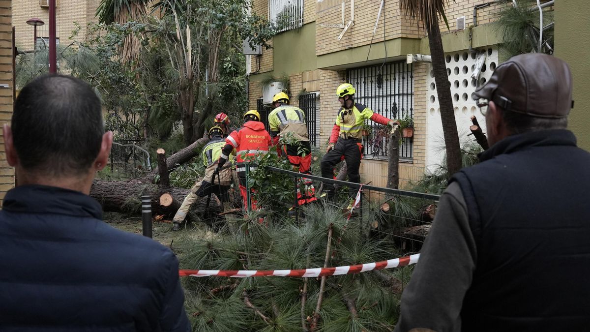 El temporal deja cinco personas heridas por varios desprendimientos en la provincia de Sevilla