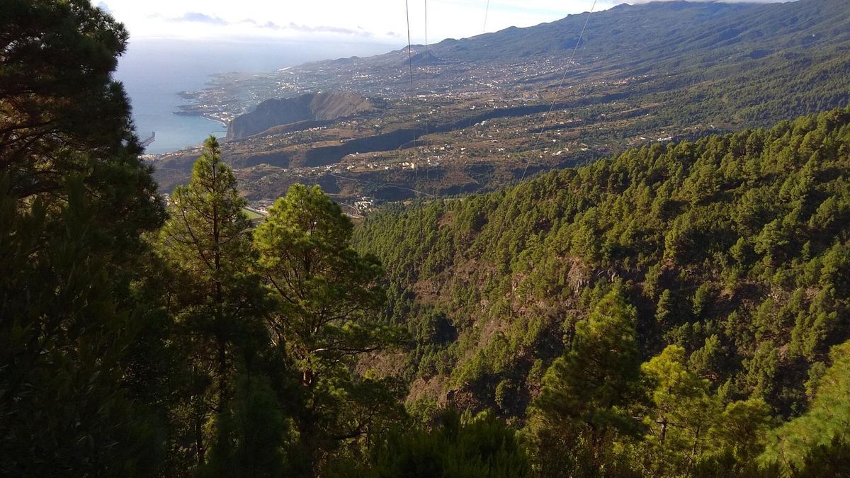 NC solicita un plan de empleo para la limpieza de montes comunales