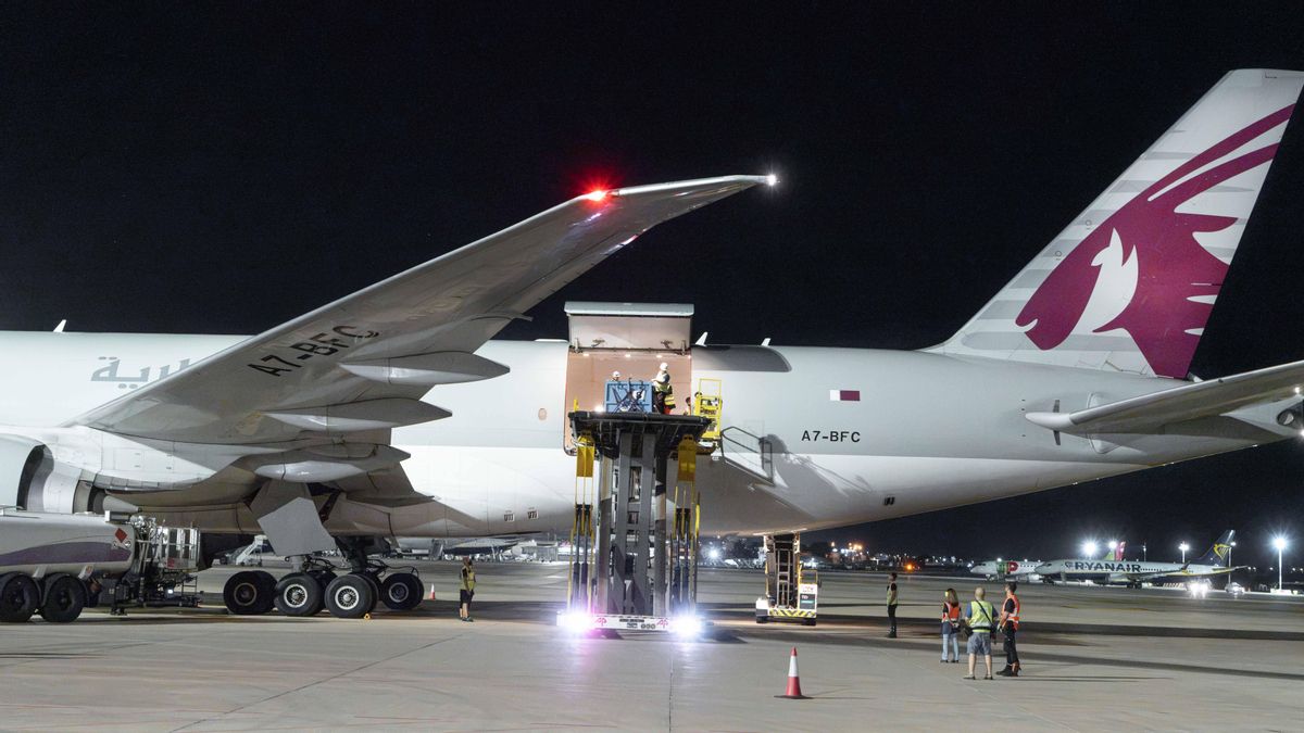 Avión fletado especialmente para el traslado de los animales.