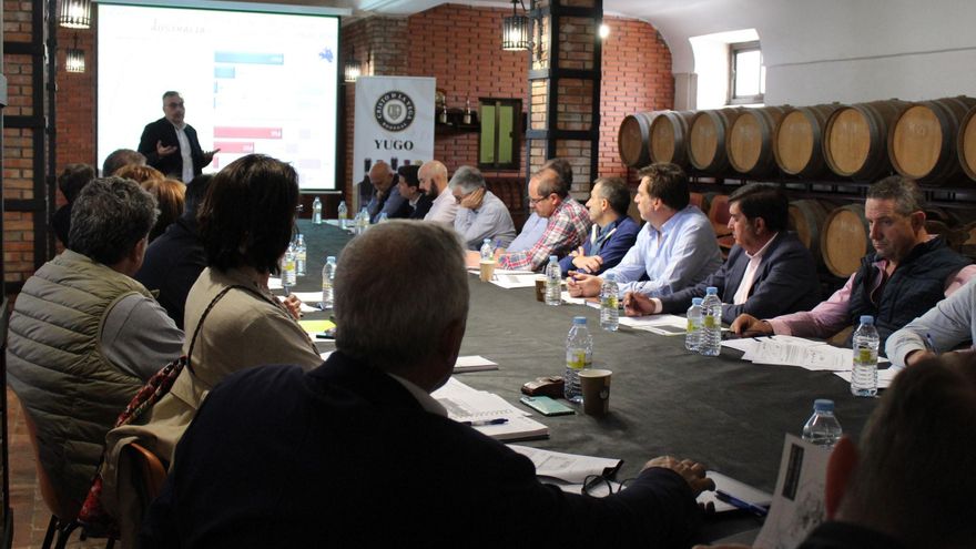 Las cooperativas vitivinícolas de Castilla-La Mancha prevén una cosecha de vendimia menor por la sequía