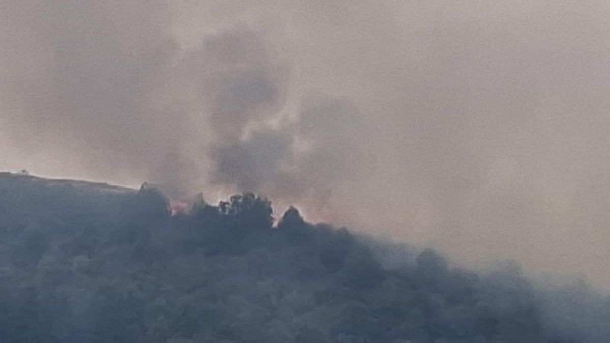 Incendio en Ezcaray