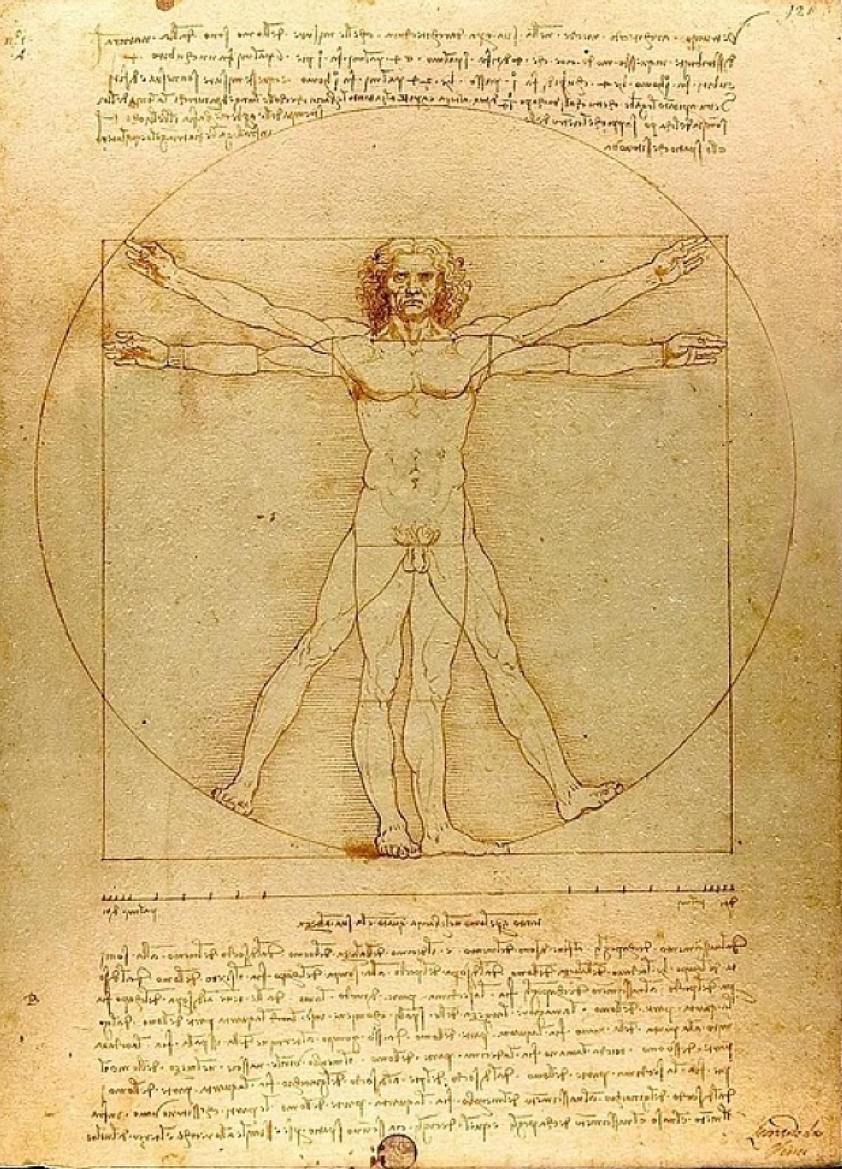 Leonardo Da Vinci escribió sus códices con tinta ferrogálica.