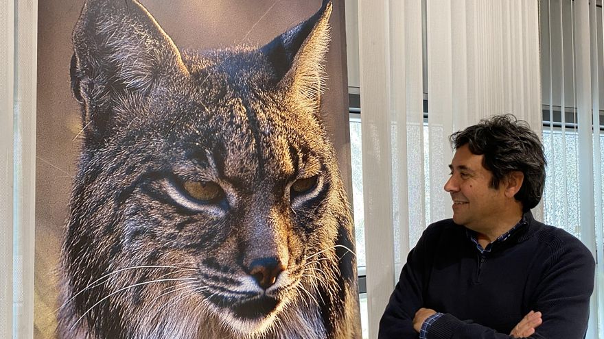 Francisco Javier Salcedo, coordinador del plan europeo del lince: "En Doñana no caben más, ha llegado a su límite"