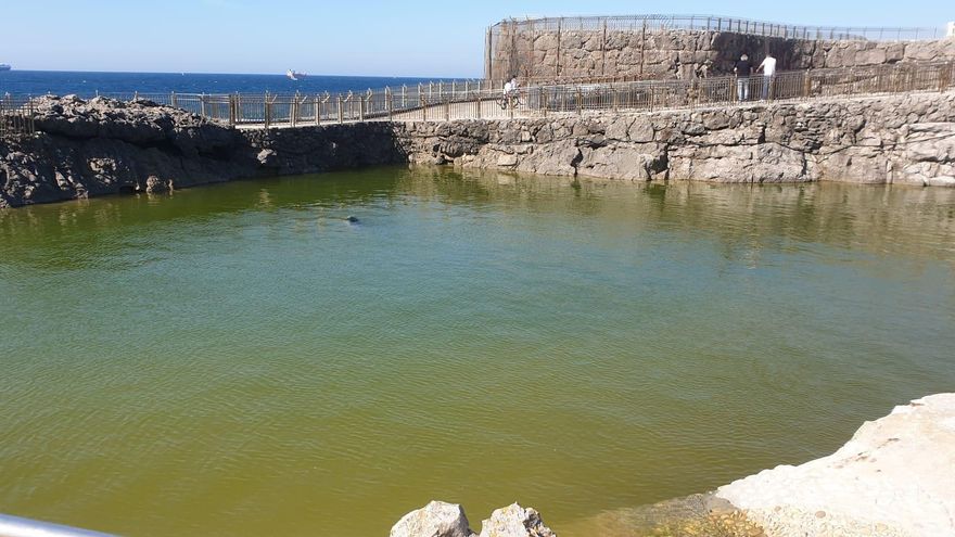 Los informes del minizoo de la Magdalena piden "importantes cambios estructurales" en el recinto, según Unidas por Santander