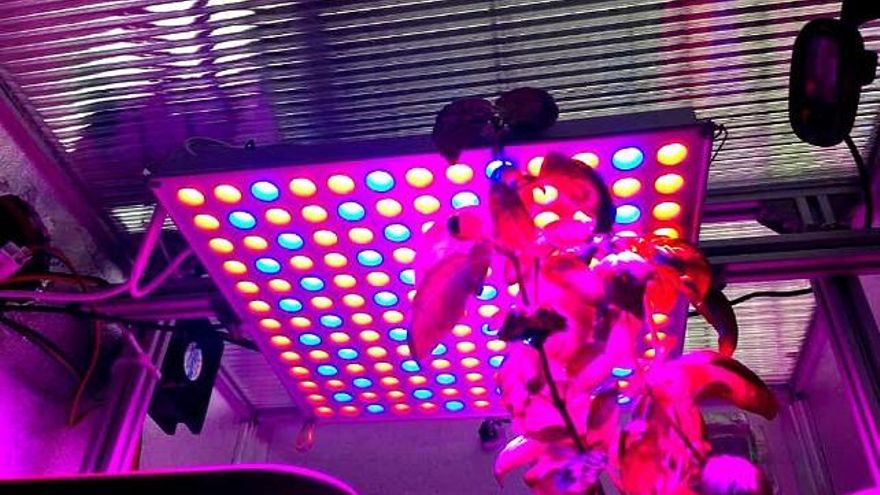 Interior de un 'Food Computer', ventiladores y sensores para el mejor ambiente de cultivo. Foto: Adrián Torres.