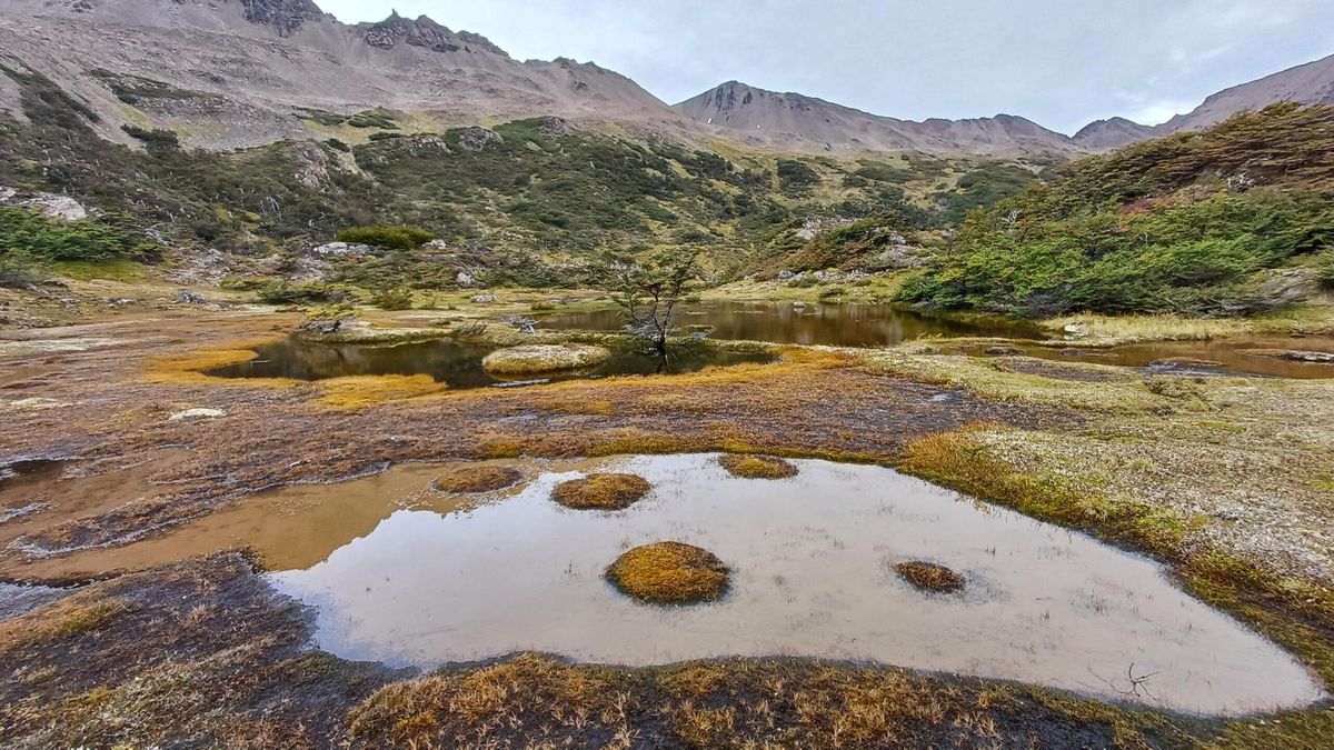 Paisajes de Navarino, una isla chilena del archipiélago de Tierra del Fuego. Foto: cortesía Elke Schüttler