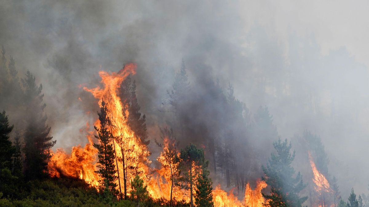 Vista del incendio que afecta a los alrededores de San Antolín de Ibias.