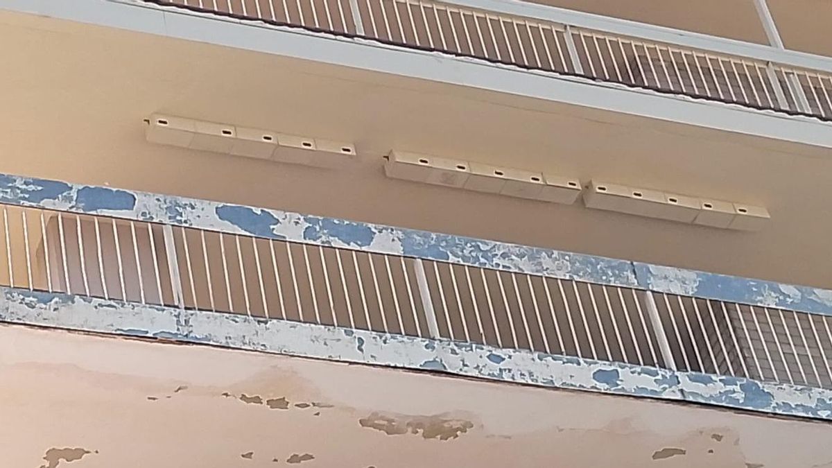 Primera remesa de cajas nido para los vencejos colocadas en el Hospital Provincial.