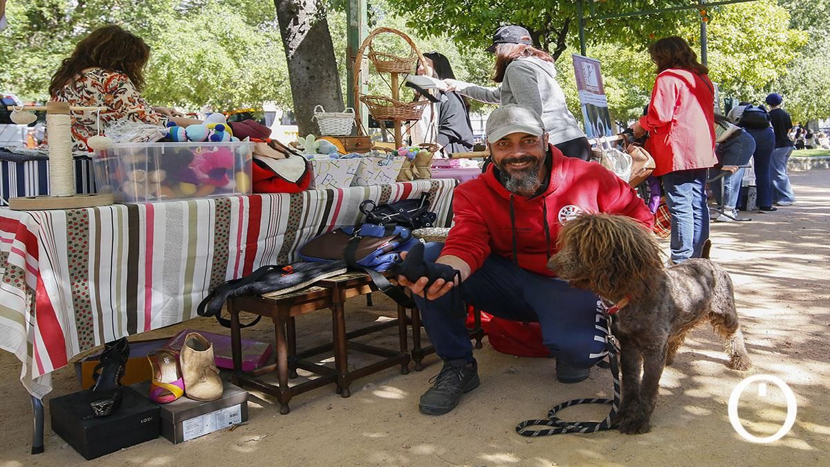 Jornada de sensibilización a la ciudadanía para la adopción de animales de compañía