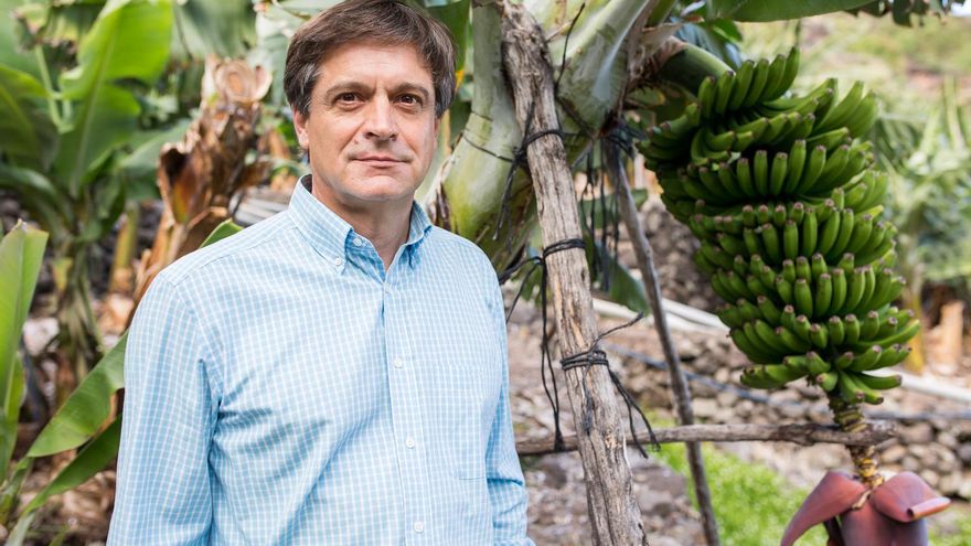 Asprocan desmiente que el PSOE haya presentado una enmienda a la Ley de la Cadena Alimentaria que “aporte flexibilidad” al plátano