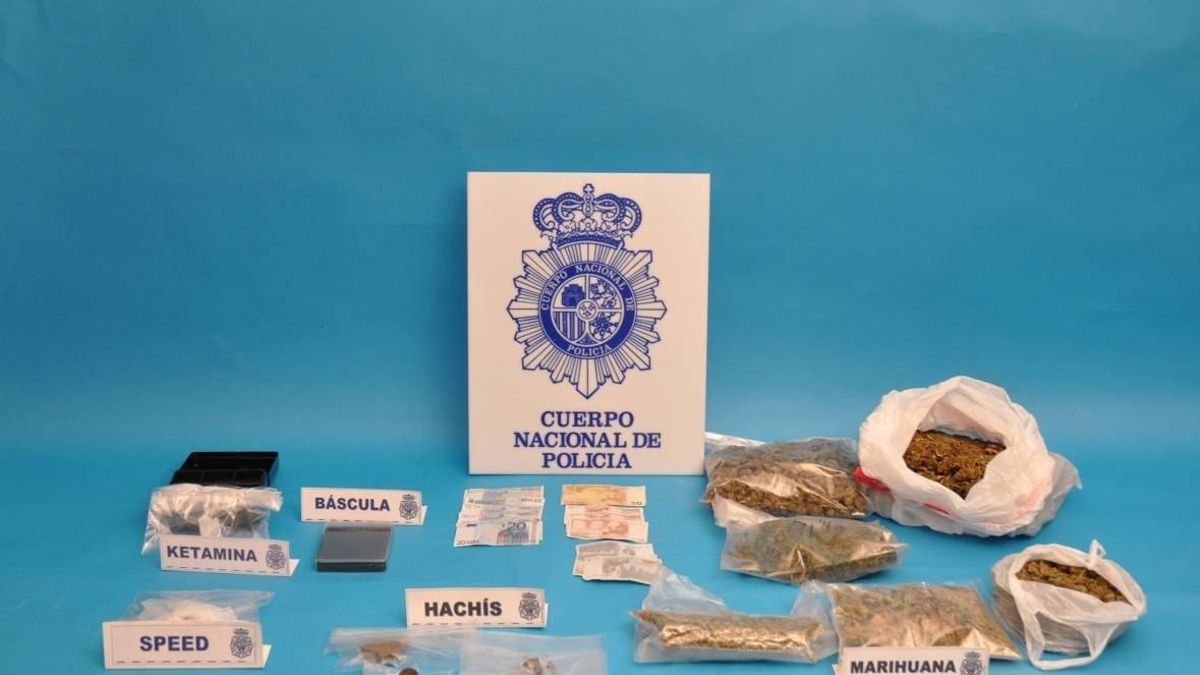 Detenidas dos personas y desmantelada una plantación de marihuana en una vivienda en Gorliz (Bizkaia)