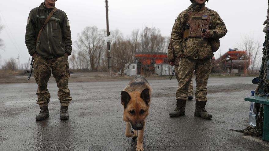 Imagen de soldados con un perro en Ucrania. EFE/EPA/ATEF SAFADI