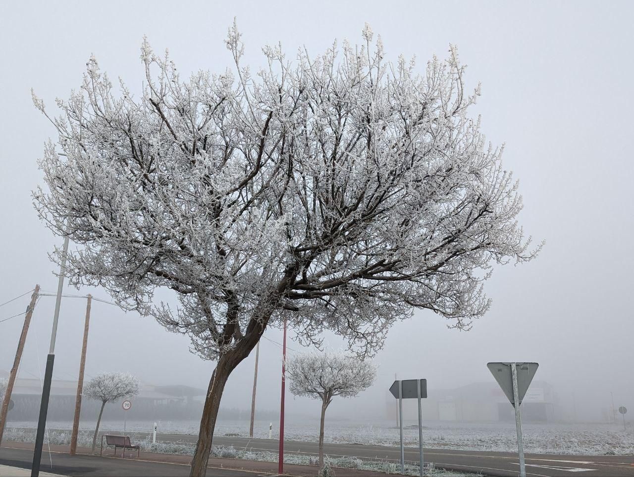 La cencellada pinta de blanco la comarca del Páramo leonés