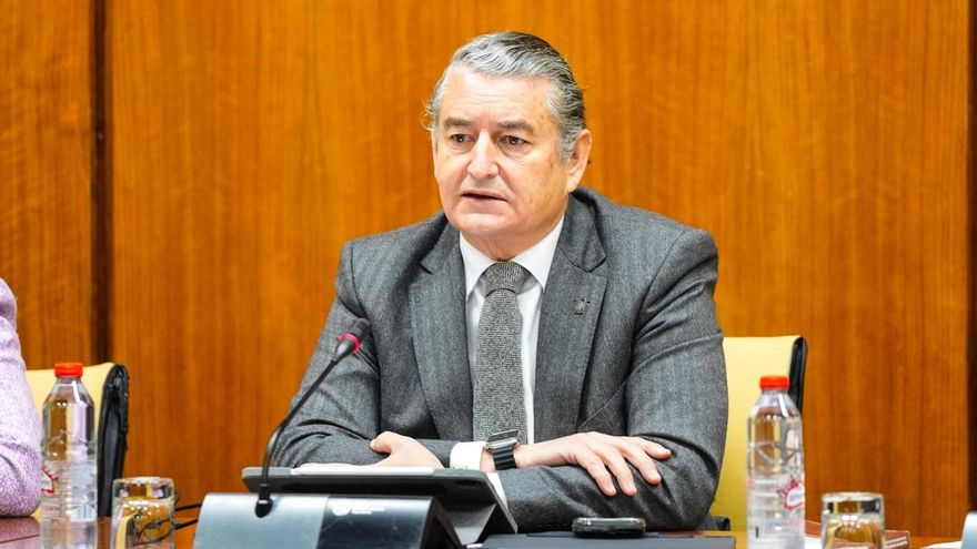 Archivo - El consejero de Presidencia, Interior, Diálogo Social y Simplificación Administrativa, Antonio Sanz (Fotografía de archivo)