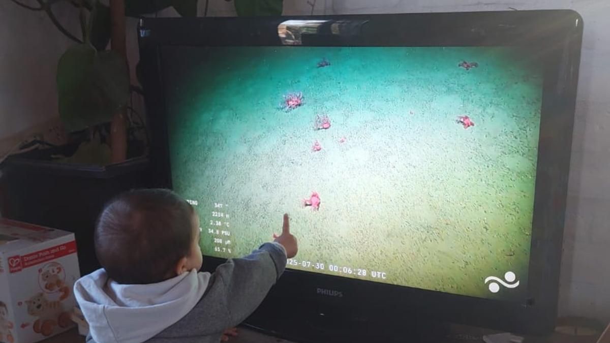 Un niño observa en el televisor la expedición submarina que siguen miles de personas en Argentina.