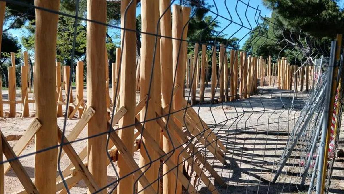 Los vecinos de la Dehesa de la Villa vigilan su parque para que no avancen los 'palitroques'  invasivos