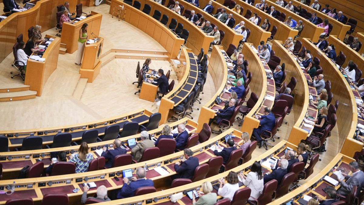 El Congreso aprueba la tramitación exprés de la reforma de la Constitución para que Formentera tenga un senador