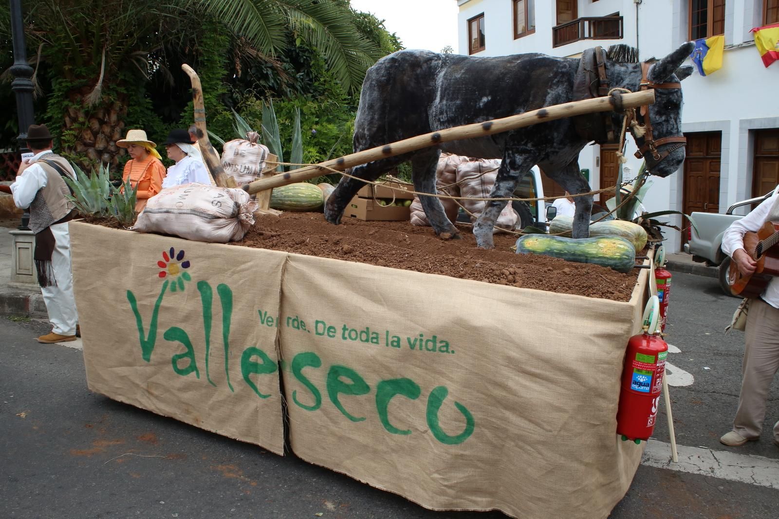 Romería de Teror (ALEJANDRO RAMOS)