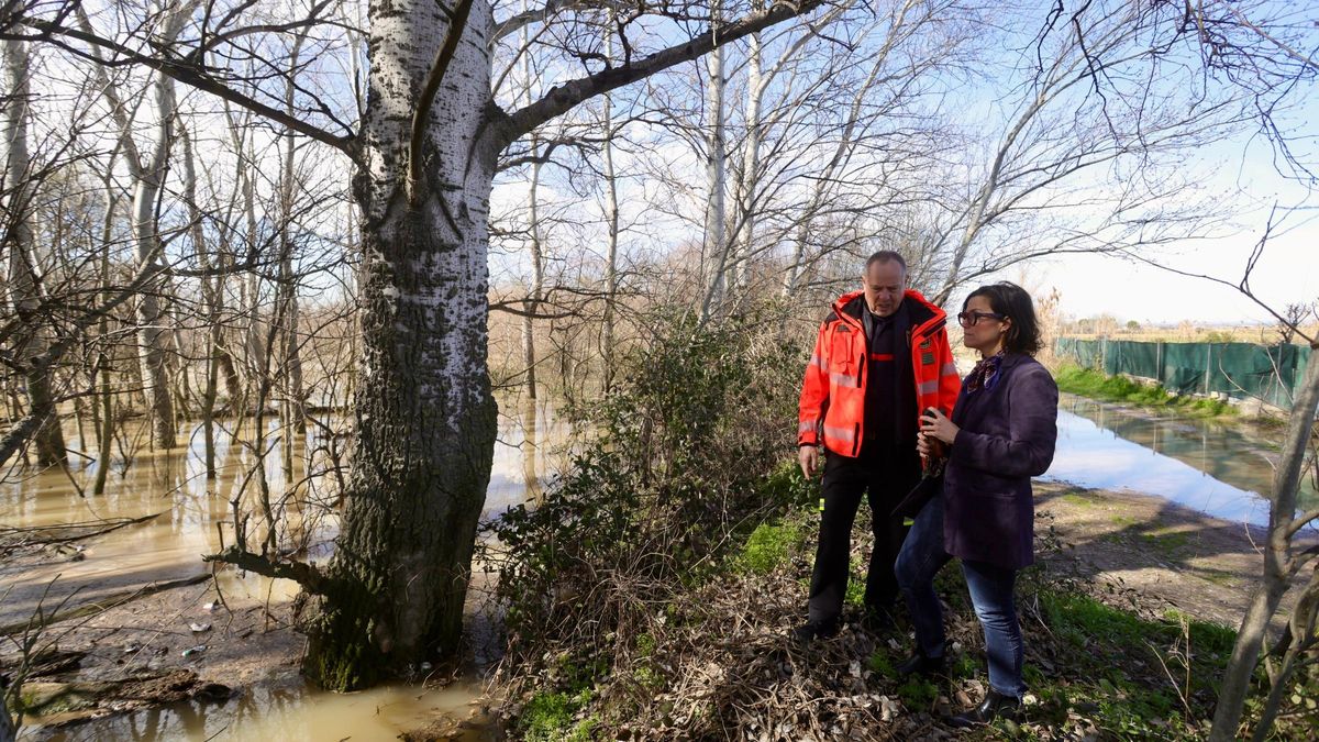 Zaragoza y los municipios ribera abajo del Ebro siguen vigilantes a las motas ante un río que se mantendrá en niveles altos