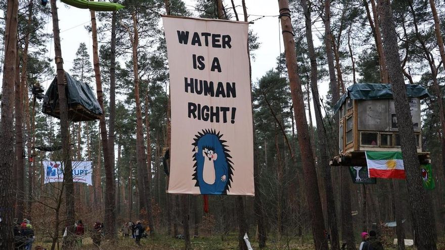 Un bosque 'okupado' para evitar que lo tale Tesla