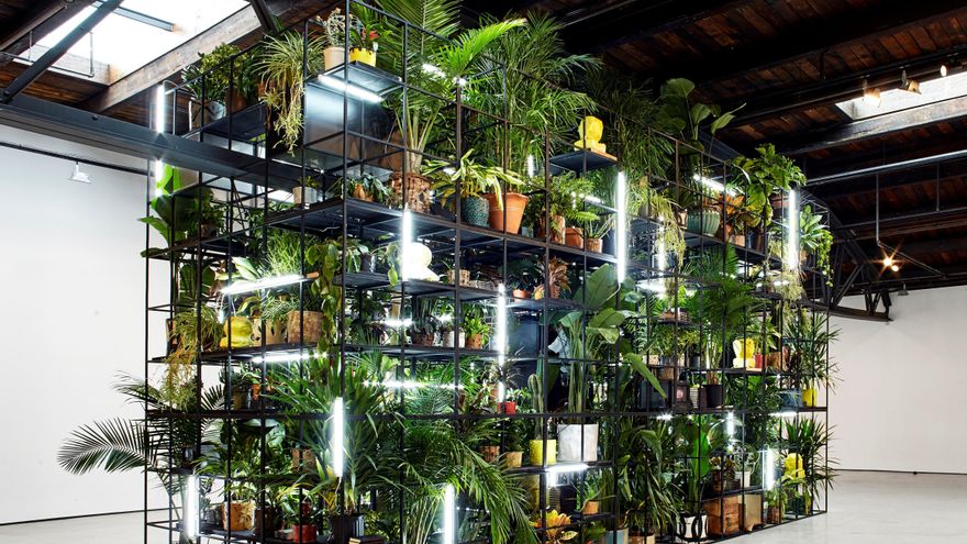 El New Museum neoyorquino examina los crímenes racistas y el proceso de luto