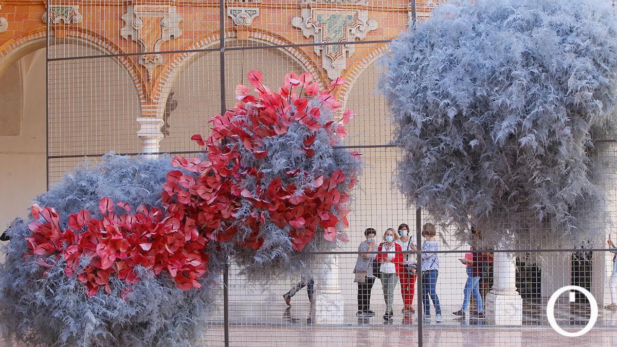 Instalación de Flora 2021 en la Diputación de Córdoba