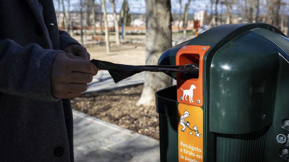 Papelera con dispensador de bolsas para excrementos de perros más visibles