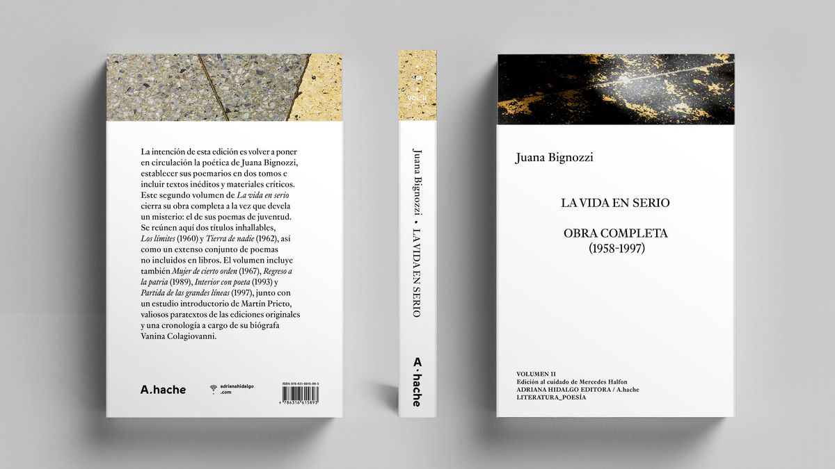 La vida en serio. Obra completa (1958-1997) Volumen 2, de Juana Bignozzi.