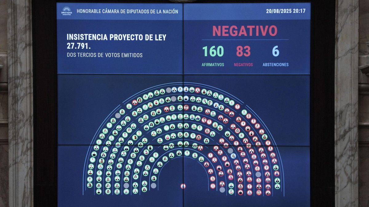 Con 160 votos a favor y 83 en contra, la Cámara de Diputados rechazó la insistencia de la ley