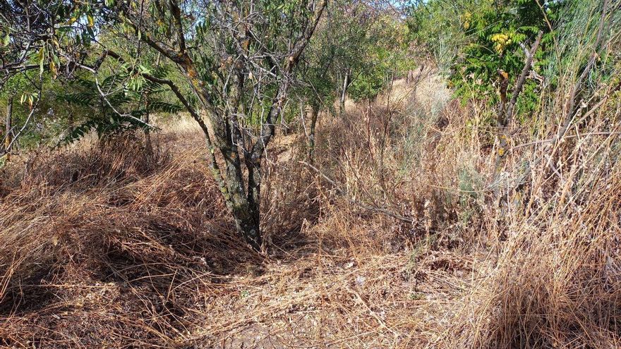 El galimatías catastral que puso en peligro de incendios la Dehesa de la Villa