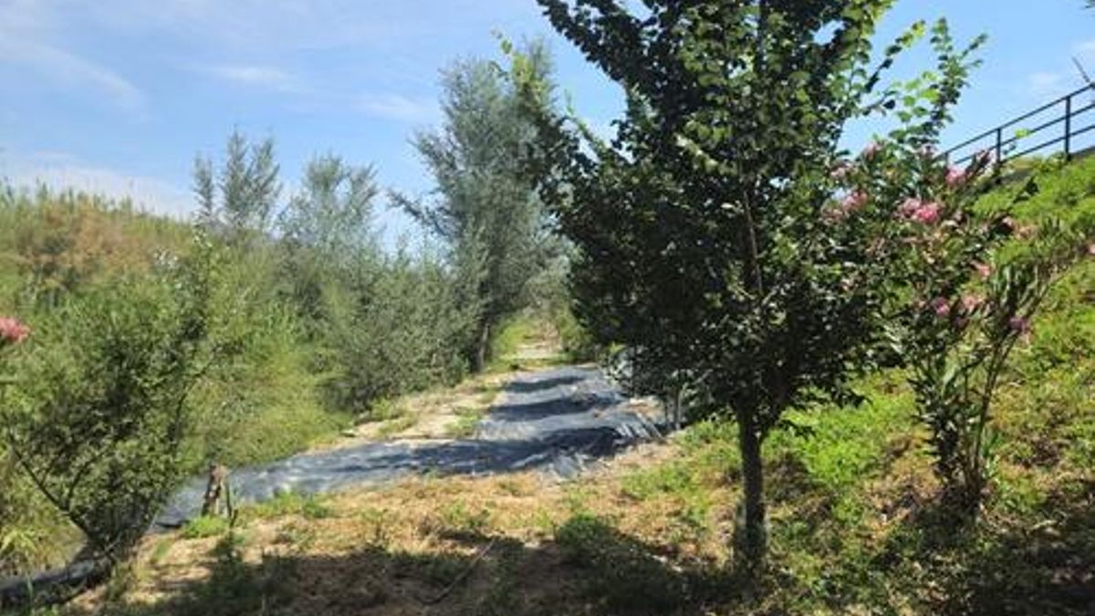 Beniel pone en marcha las propuestas ciudadanas de los VIII Presupuestos Participativos