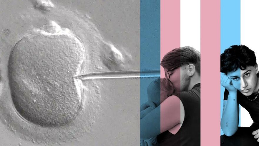 Desconocimiento, malas prácticas e inquietud: las dificultades de las personas trans que congelan óvulos o esperma