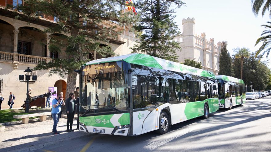 La EMT de Palma incorpora tres buses de hidrógeno verde de la planta de Lloseta