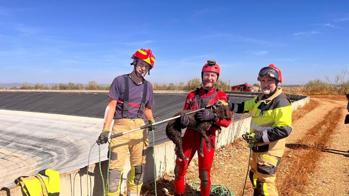 Los bomberos, tras rescatar a la perrita.