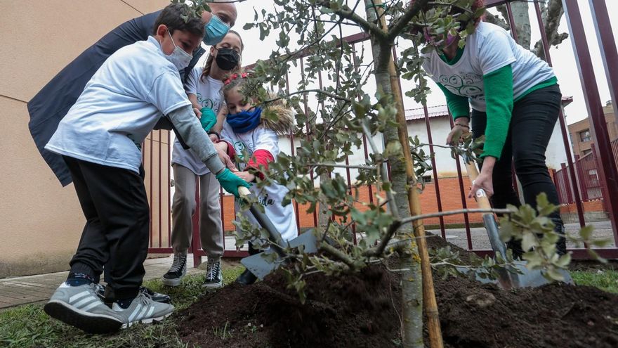 El alcalde de León, José Antonio Diez, participa en una plantación de árboles en el Colegio La Granja. // Campillo / ICAL