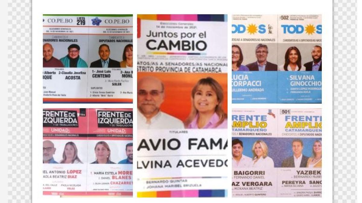 Las boletas en Catamarca para las elecciones del 14 de noviembre